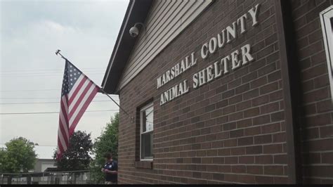 Humane Education. . Marshall county ms animal control